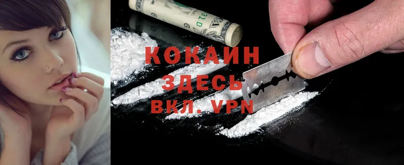 COCAIN Эквадор Красновишерск